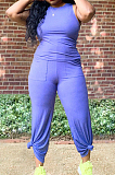 Light Purple Casual O Collar Sleeveless Top Flare Pants With Pocket Solid Color Two-Piece WM21623-5