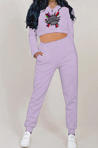 Light Purple Autumn And Winter Velvet Long Sleeve Stand Collar Zipper Fleece Carrot Pants Casual Sport Sets YMT6224-1