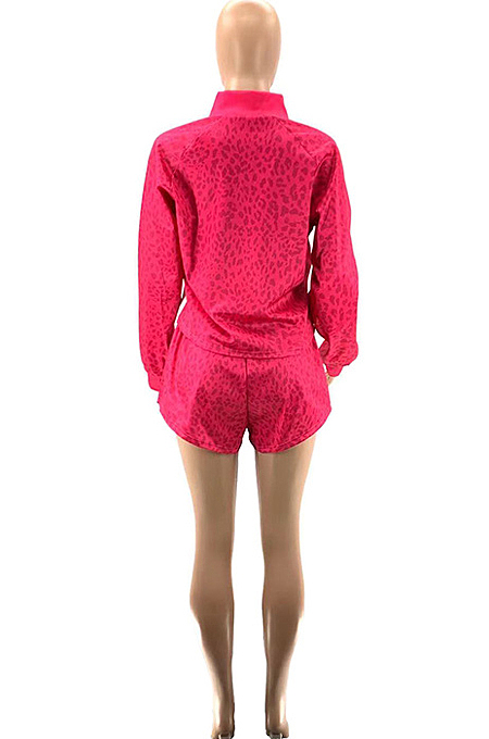 Royal Blue Cotton Blend Spliced Letter Printing Long Sleeve Stand Collar Zippet T-Shirt Shorts Sports Sets SZS9041-1