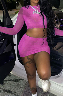 Pink Sexy Mesh See-Through Long Sleeve Round Neck Crop Top Hip Skirts Pure Color Two-Piece LMM8273-1