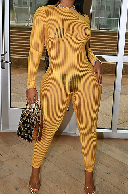 Black Night Club Mesh See-Through Long Sleeve Round Neck Zip Back Bodycon Jumpsuits CM2152-1