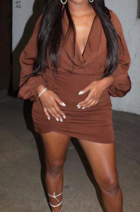 Brown Fashion Ruffle Long Sleeve Low Collar Slim Fitting Solid Color Mini Dress LJJ6073