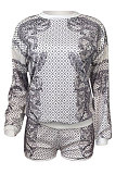 Yellow Women Positioning Printing Casual Long Sleeve Round Collar Blouse Shorts Sets NK257-2