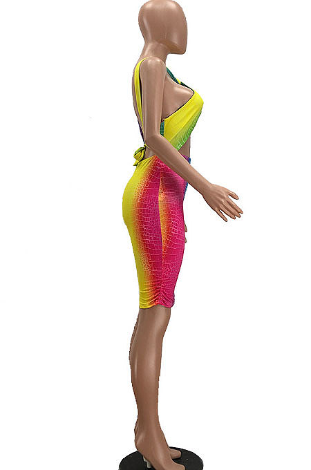 Multicolor Women Fashion Hip Strapless Backless Printing Bodycon Dress PH1213