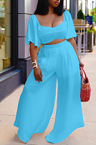 Sky Blue New Wholesal Loose Sleeeve Strapless Wide Leg Pants Solid Color Casual Sets WA7206-1