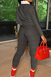 Silver Autumn Women Long Sleeve Lapel Neck Jumper Pencil Pants Loose Casual Sets TK6195-3
