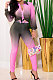 Pink Wholesal Gradient Long Sleeve Lapel Neck Single-Breasted Shirts Pencil Pants Sets SM9200-3
