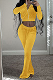 Pink Wholesale New Korea Velvet Long Sleeve Zipper Front Coat Flare Pants Casual Sets FH171-1