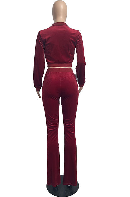 Pink Wholesale New Korea Velvet Long Sleeve Zipper Front Coat Flare Pants Casual Sets FH171-1