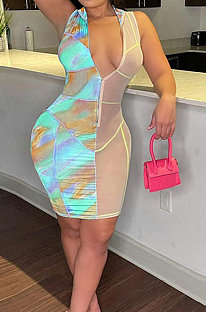 Lake Blue Digital Print Mesh Sleeveless O Neck Zip Back Collcet Waist Hip Dress SZS8042-1