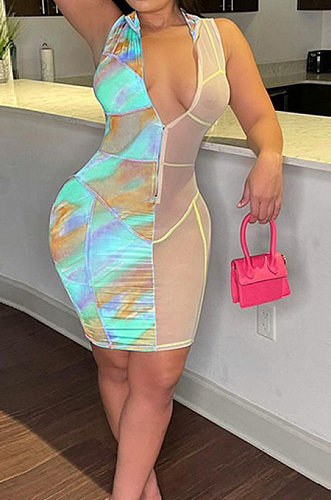Lake Blue Digital Print Mesh Sleeveless O Neck Zip Back Collcet Waist Hip Dress SZS8042-1
