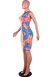 Lake Blue Digital Print Mesh Sleeveless O Neck Zip Back Collcet Waist Hip Dress SZS8042-1
