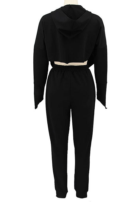 Gray Euramerican Pure Color Zipper Hooded Lady Long Sleeve Long Pants Casual Sport Two-Pieces KZ2136-2