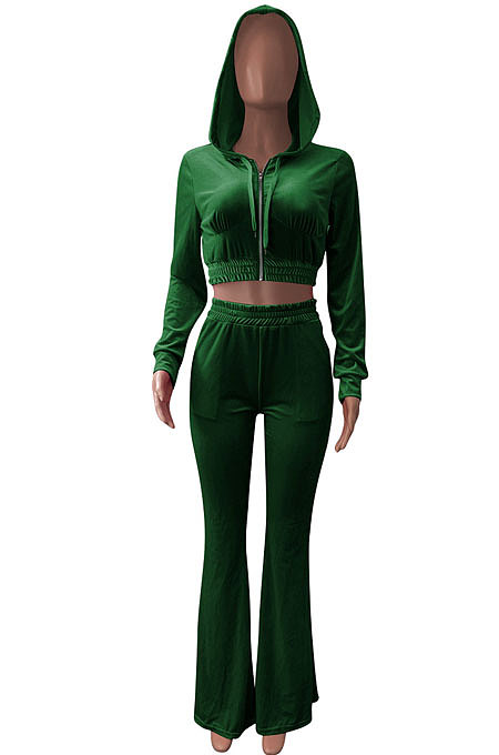 Light Blue Euramerican Women Korea Velvet Hooded Long Sleeve Zipper Solid Color Flare Leg Pants Sets NK264-8