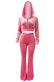 Gray Euramerican Women Korea Velvet Hooded Long Sleeve Zipper Solid Color Flare Leg Pants Sets NK264-2