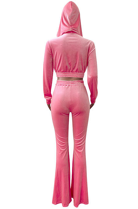Brown Euramerican Women Korea Velvet Hooded Long Sleeve Zipper Solid Color Flare Leg Pants Sets NK264-5