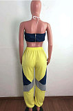 Yellow Sexy Sport Colorful Zip Back Strapless+Banded Pantd Casual Sets QZ7001-1