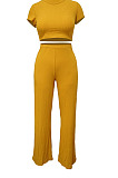 Coffee Fashion Casual High Elastic Cotton Shor Sleeve Top Pure Color Ribber Loose Pants Sets MY9298-5