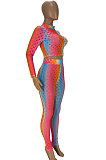 Red Colorful Long Sleeve High Neck Crop Top Pencil Pants Hollow Out See-Through Sets YT3290-2