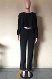 Purple Fashion Wholesale Long Sleeve Irregularity Tops Wide Leg Pants Slim Fitting Sets D8454-5