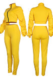 Apricot Autumn Winter Newest Ruffle Sleeve Zip Front Crop Tops Pencil Pants Sport Sets MD445-2