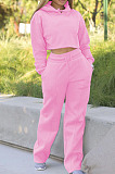 Gray Casual Sport Long Sleeve Hoodie Wide Leg Pants Solid Color Loose Sets FH173-1