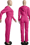 Gray Casual Sport Long Sleeve Hoodie Wide Leg Pants Solid Color Loose Sets FH173-1