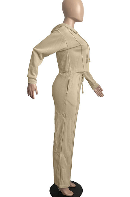 Gray Casual Sport Long Sleeve Hoodie Wide Leg Pants Solid Color Loose Sets FH173-1