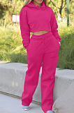 Gray Casual Sport Long Sleeve Hoodie Wide Leg Pants Solid Color Loose Sets FH173-1