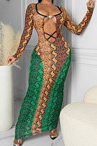 Green Blue Sexy Snakeskin Print Long Sleeve Hollow Out Collect Waist Bodycon Dress TRS1180-2