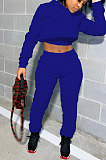 Gray Women Hooded Long Sleeve Fleece Solid Color Bandage Long Pants Sets CSY830-1