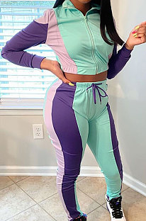 Autumn Winter New Matching Color Long Sleeve Zip Front Tops Skinny Pants Casual Sets SDE1088