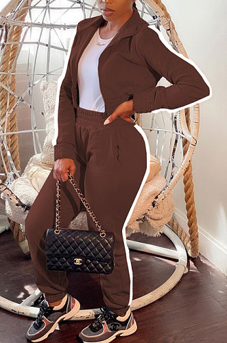 Brown Women's High Quality Side Strip Long Sleeve Zip Front Sweater Velvet Trousers Sets TZ1208-1