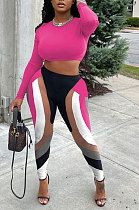 Pink Red Women Pure Color Long Sleeve Top Printing Pants Sets AYB6119-3