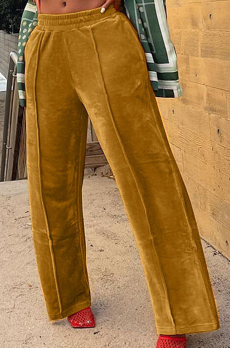 Dark Brown Simple Luxe Velvet Pure Color Casual Wide Leg Pants DN8638-1
