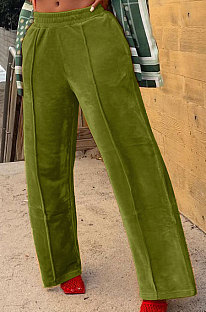 Green Simple Luxe Velvet Pure Color Casual Wide Leg Pants DN8638-5