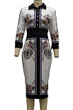 Multicolor Printed Luxe Long Sleeve Collect Waist Hip Dress SMR10720