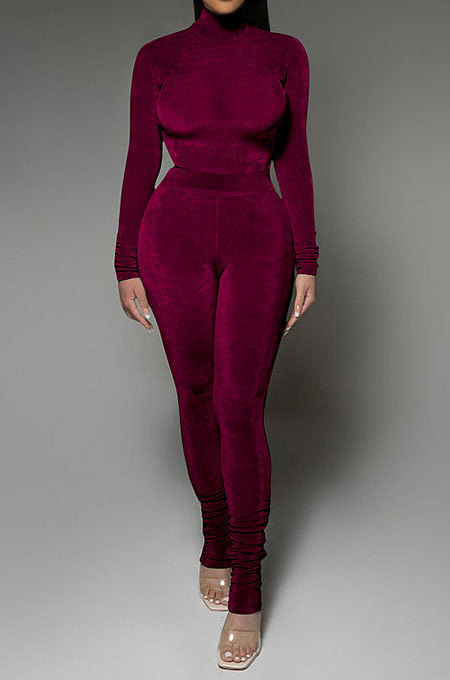 Dark Purple Wholesale Velvet Long Sleeve High Neck Tops Skinny Pants Slim Fitting Suit DR88131-1