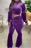 Black Wholesale Vevet High Neck Crop Tops Flare Pants Solid Color Suit HXY88088-1
