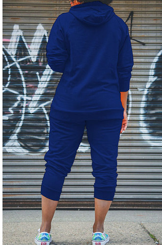 Blue Simple Preppy Long Sleeve Hoodie Trousers Plain Suit WY6864-2