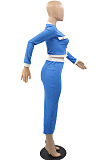 Pink Luxe Elegant Long Sleeve Single-Breasted Tops Hip Skirts Fashion Suit YMM9091-1