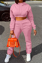 SUPER WHOLESALE|Pink Casusl Pure Color Velvet Hoodie Jogger Pants Suit LML279-1