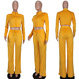 Autumn Winter Velvet Solid Color Zipper Casual Pants Sets BYQ3215