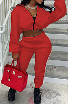 Fashion Casual Long Sleeve Dew Waist Zipper Cardigan Tops Jogger Pants Solid Color Suit WY6866