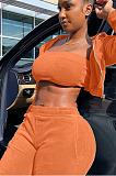 Wholesale Women Velvet Cloth Pure Color Strapless+Cardigan Zipper Coat Jogger Pants Casual Suit LYY9320