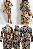 Shirt Collar Mini Dress
