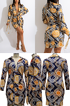 Shirt Collar Mini Dress