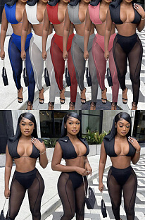 Boho Sexy Polyester Sleeveless Deep V Neck Mesh Crop Top Mid Waist Long Pants Skinny Pants Sets ALS273