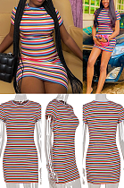 Zebra Colorful Dress