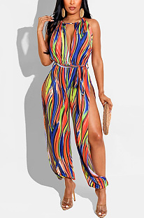 Loose color printed Jumpsuit FFE219